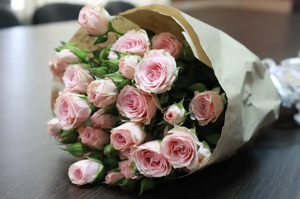 20 Baby Pink Bouquet