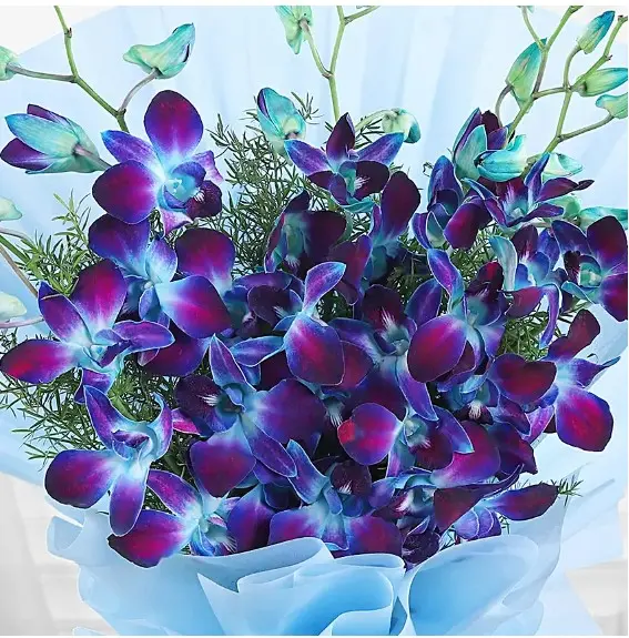 20 Blue Orchids Bouquet