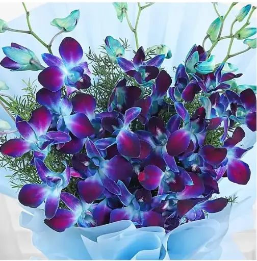 20 Blue Orchids Bouquet