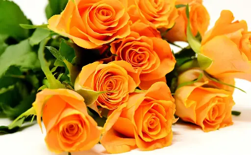 20 Yellow Rose Bouquet